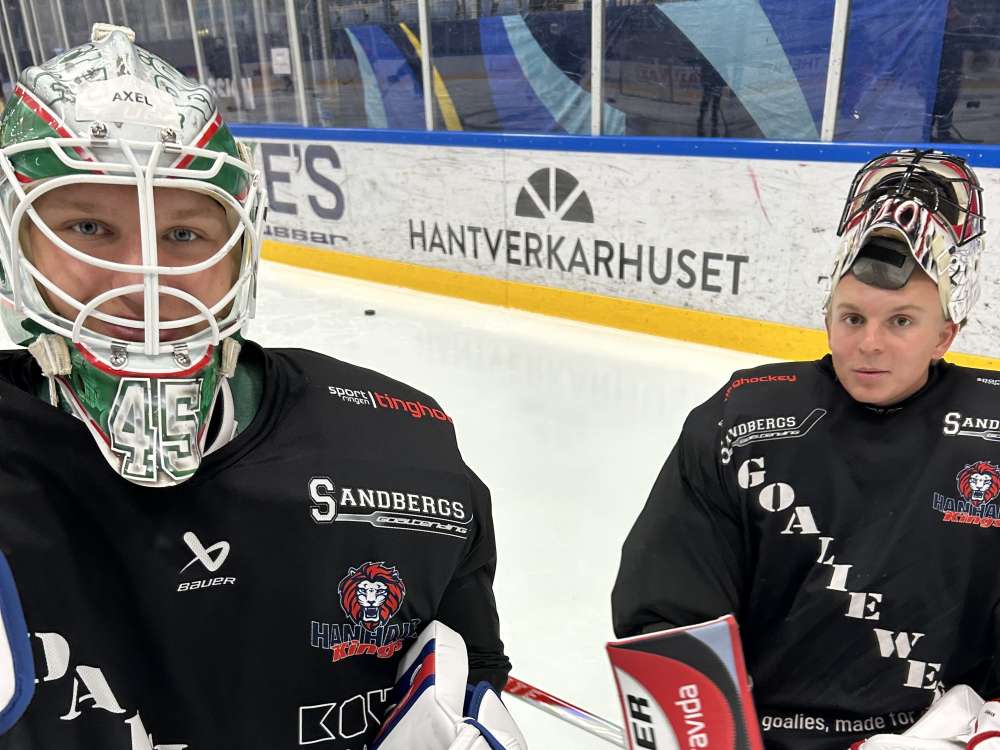NymanBlomgren1.jpg